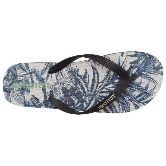 Protest Anatoly Slaps Protest Anatoly Slaps